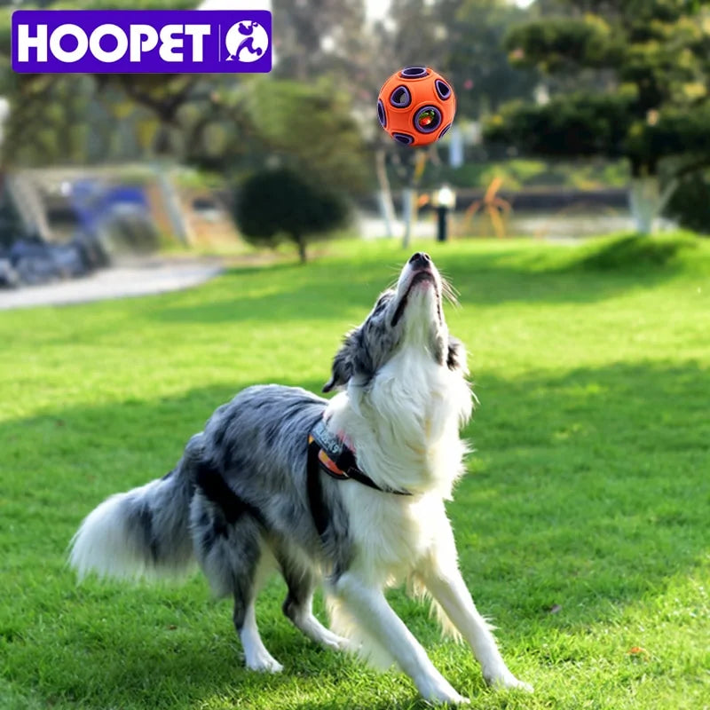 HOOPET Interactive Ball Chew Toy For Dog